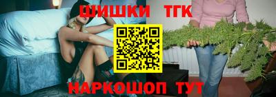 стафф Донской