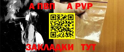 стафф Донской